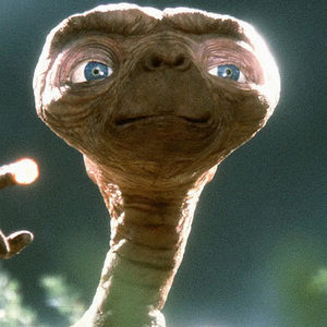 Meet your Posher, Abigail